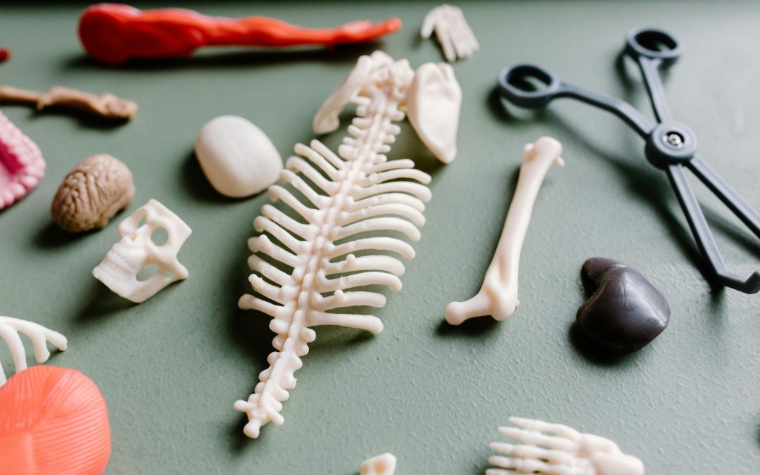 PRP for Back Pain: What You Should Know