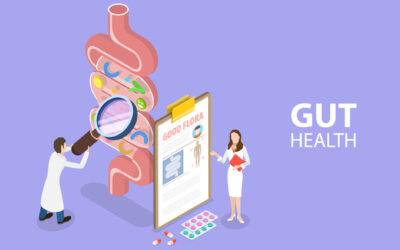What is a Leaky Gut and How Can Nutrition Help Us Heal?