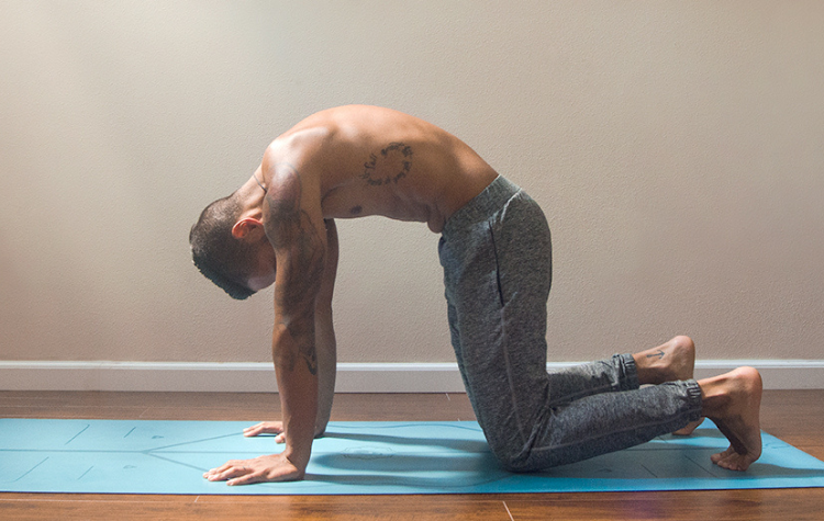 How to Do Cat Cow Stretches (Marjaryasana-Bitilasana) 3 Ways – Liforme