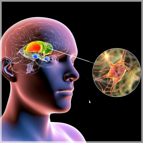 Meniscus Tears Treatments